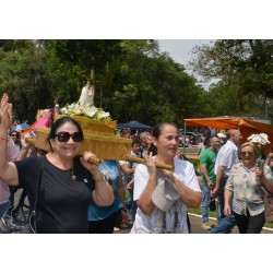 Romaria de Nossa Senhora do Rocio é marcada por fé e emoção